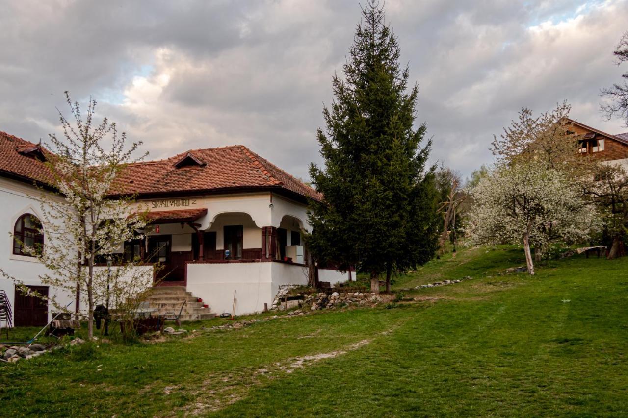 Apartament Surasul Muntelui Dragoslavele Zewnętrze zdjęcie