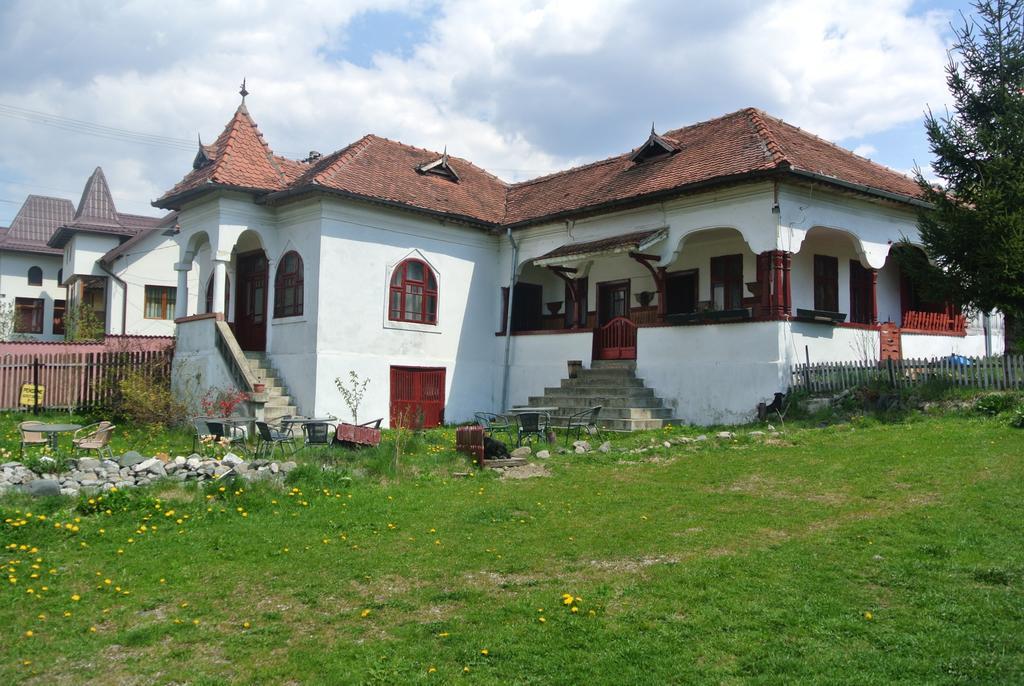 Apartament Surasul Muntelui Dragoslavele Zewnętrze zdjęcie