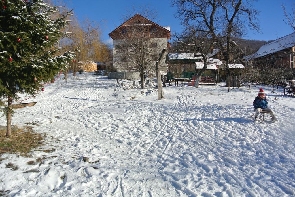 Apartament Surasul Muntelui Dragoslavele Zewnętrze zdjęcie