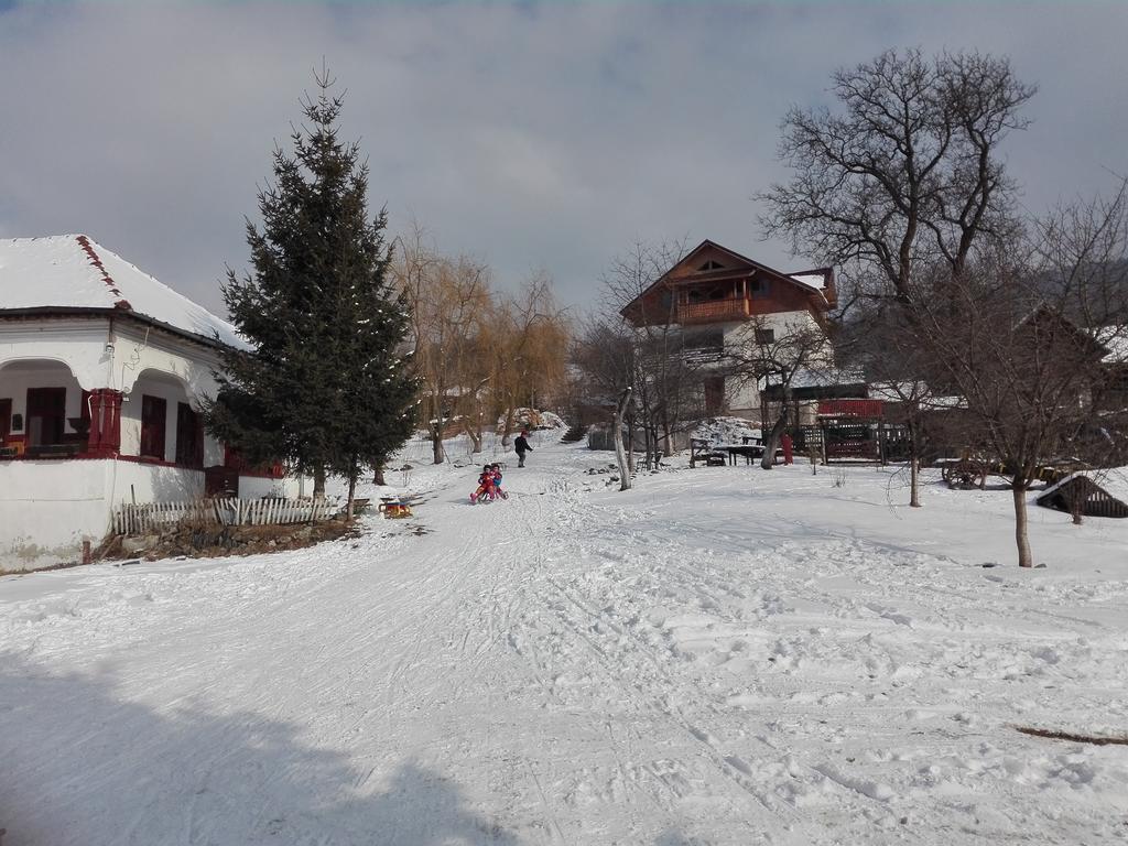 Apartament Surasul Muntelui Dragoslavele Zewnętrze zdjęcie