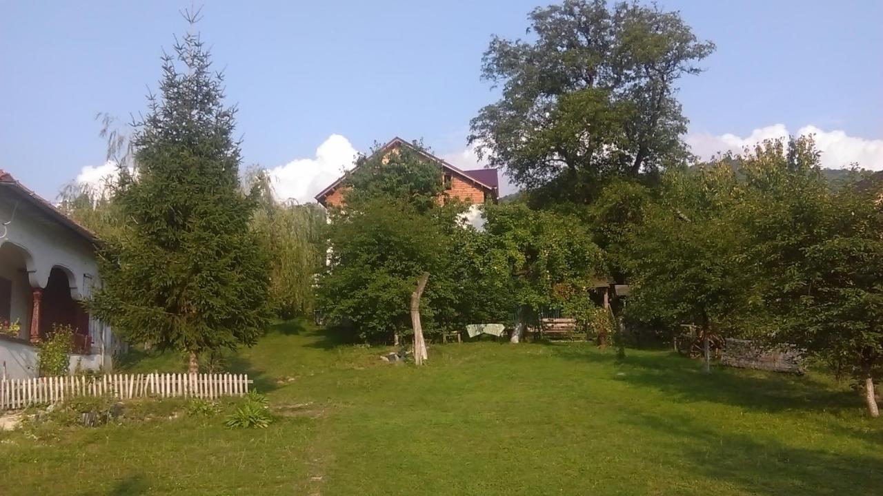 Apartament Surasul Muntelui Dragoslavele Pokój zdjęcie